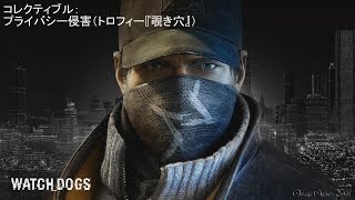 Watch Dogs（ウォッチドッグス） - コレクティブル・プライバシー侵害 （トロフィー『覗き穴』）