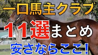 【おすすめ】一口馬主クラブ11選を採点！様々な項目を加点方式で。【前編】【一口馬主】