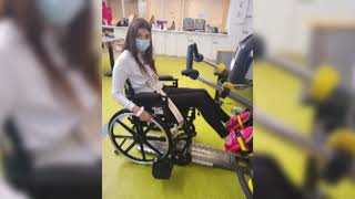 Muskegon County girl recounts crash that killed two horses