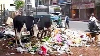 Bangalore garbage crisis: Karnataka High Court questions municipal authority