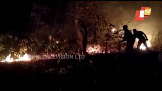 Forest Department \u0026 Sabuja Bahini Workers Try To Douse Similipal Wildfire