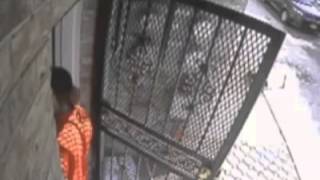 Surveillance Video: Bronx Public Lewdness Suspect
