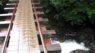 縄文杉へ向かうトロッコ軌道　欄干のない橋　鹿児島県屋久島町