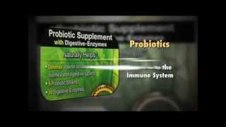 Health benefits of Probiotics and digestive enzymes for crohn's disease \u0026 colitis