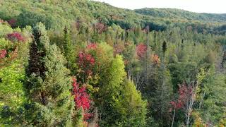 Deadman's Hill \u0026 Jordan River Valley - Elmira, Michigan - DJI Mavic Pro Zoom Drone Footage - 4K