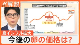 「いまの価格帯は正直言って異常」卵の高騰“エッグショック”懸念、鳥インフル拡大 過去最悪の年に匹敵【Nスタ解説】｜TBS NEWS DIG