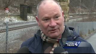 Hay bald eagle nest destroyed