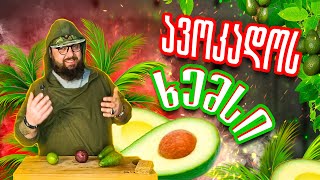 ავოკადოს ხემსი   /  закуска авокадо  /  Avocado Snack