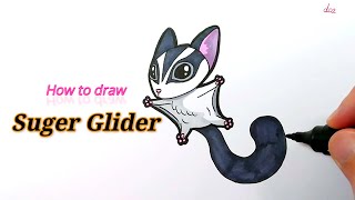How to Draw a Suger Glider Easy For Kids