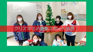 【ペットクラフト実習】クリスマスの撮影スポットを作りました！ 動物専門學校 トリマー 動物看護師 アクアリウム 動物のお仕事