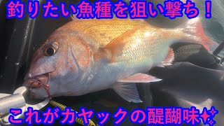 釣りたい魚種を狙い撃ち！これがカヤックの醍醐味✨