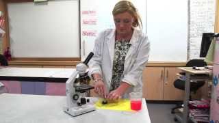 How to prepare a cheek cell microscope slide