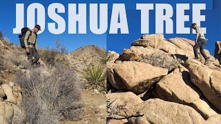 Backpacking in Joshua Tree National Park