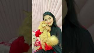 অন্তরা তার বিড়ালের সাথে খেলা করছে 😍 Nusrat Jahan Ontora new tiktok #nusratjahanontora #rakibhossain