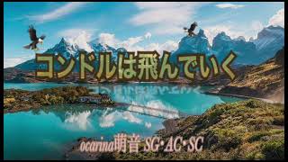 コンドルは飛んでいく (持ち替えバージョン) 趣味オカリナ 練習①