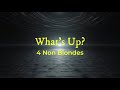 What's Up - 4 Non Blondes [Lyrics]