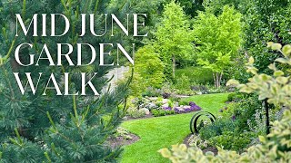 Mid-June Garden Check-In 🌸 Look What’s Blooming Now!