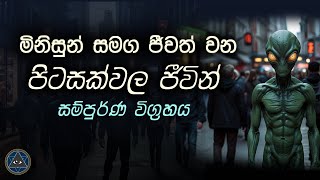 මිනිසුන් සමග ජීවත් වන පිටසක්වල ජීවින් - Aliens Living Among Humans - The Cryptoterrastrial Hypotheis