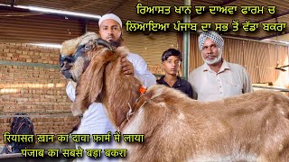 रियासत ख़ान का दावा फ़ार्म में लाया पंजाब का सबसे बड़ा बकरा @farmingbaba khan goat farm Jagraon