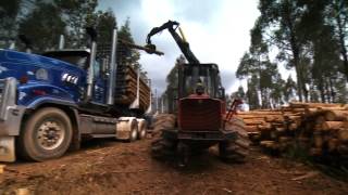 Going Bush Season 7 - Episode 03 Tasmanian Plantations