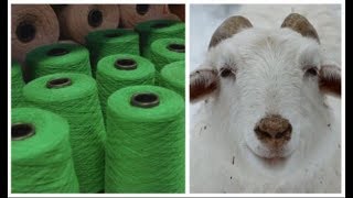 Parte dall'Himalaya la via dei segreti del cashmere: ecco perché è così costoso | Insider Italiano