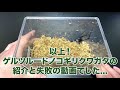 ゲルツルードノコギリクワガタの紹介【クワガタ飼育】