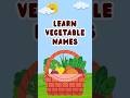 Fun and Educational! 🥦 Learn Vegetable Names with a Twist! 🌱 📚🥕🎉 #KidzNCrew