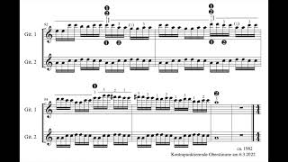 René Wohlhauser - Riffs for Guitar Nos. 1-13, versions for electric guitar [with score]