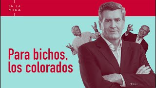 Pocos, pero peleadores | En La Mira