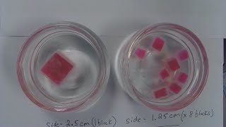 Agar Diffusion Lab AP Bio -Surface Area to Volume Ratio