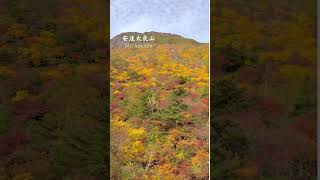 パート2 安達太良山紅葉のまとめ。　#安達太良山　#紅葉　#百名山