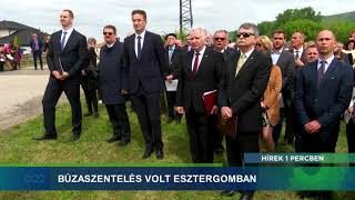 Hírek 1 Percben - 2019.04.29. - Baleset, szemétgyűjtés, búzaszentelés, Szomor