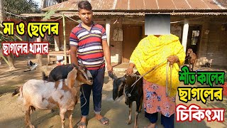 শীতকালে ছাগলের যত্ন ও চিকিৎসা ।নাটোর । Care and treatment of goats in winter