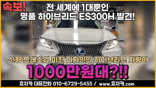 속보! 전 세계에 1대뿐인 명품 하이브리드 ES300H 발견! 신형 드레스업 미친 디자인의 하이브리드 차량이 1000만원대?!!