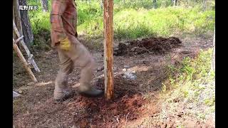 谁能拒绝在晚上睡觉前刷上一集解压有趣的荒野建造呢 #荒野建造