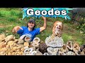 You can go here! Geode Hunting | Public Crystal Mine