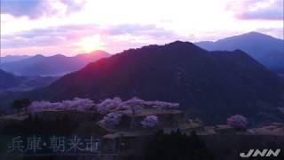 【令和のサクラ】兵庫・天空の竹田“桜”城跡