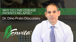 Why Do Lyme Disease Patients Relapse?