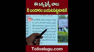 ఈ ఒక్క ఫ్లెక్సీ చాలు నీ బండారం బయటపెట్టటానికి | KTR | Tolivelugu TV