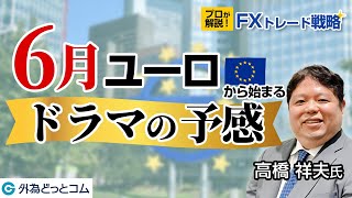 FX/為替「プロが解説！FXトレード戦略！6月ユーロから始まるドラマの予感」【高橋 祥夫氏】