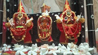 Chacheri besha of Lord jaganntha