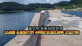 [감성돔 확인조황] 감성돔 대물급 나오는 차박 포인트/중치급 마릿수 할수있는 석축 방파제