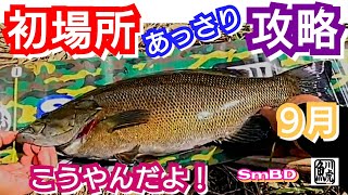 yasu 新規ポイント開拓／増水時【川バス釣り】スモールマウスバス2024年9月Small mouth Bass Fishing