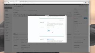 Using Shortcodes | Flix Premium Wordpress Theme