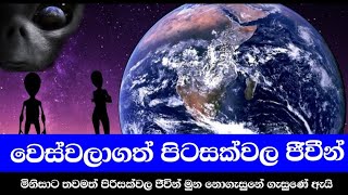 මිනිසාට තවමත් දියුණු පිටසක්වල ජීවීන් මුණ නොගැසුණු ඇයි? විශ්වය පුරා පිරිසක්වල ජීවීන් සොයා