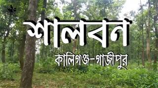 Shalbon Tour | শালবন ভ্রমণ | কালিগঞ্জ-গাজীপুর | ঘুরে আসুন মন ভরে যাবে