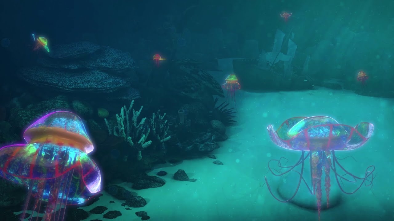 Jellyfish Animation Youtube