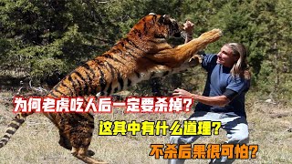 為何老虎吃人后一定要殺掉？這其中有什么道理？不殺后果很可怕？