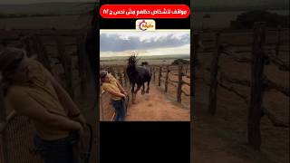 مواقف لاشخاص حظهم مش نحس ج82