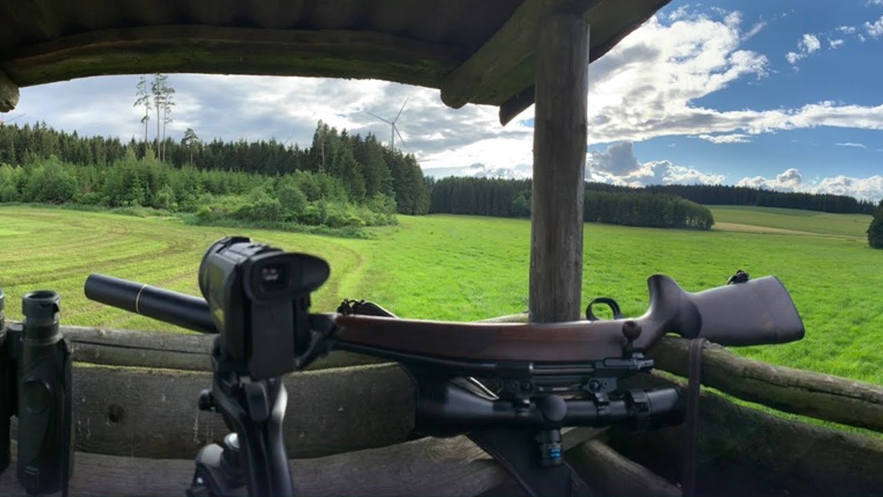 VLOG #6 - Jagen In Bayern - Damwildjagd - Blattzeit 2020 - Jagdparcours ...